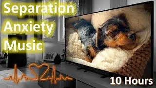 10 HOURS Deep Separation Anxiety Music for Dog Relaxation | Puppy sleeping with Heartbeat | NEW 2021