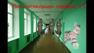 Пов: пятиклашки снимают ТТ. Мемные коты. Смешные видео. Funny videos.#teddycat #мемыскотами #рек.
