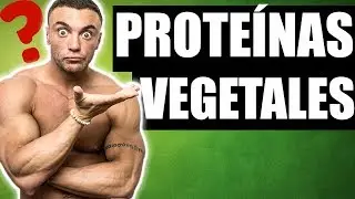 ¿De dónde sacan las PROTEÍNAS los VEGANOS? 🤔