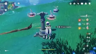 El desafío de los Seeles | Genshin Impact