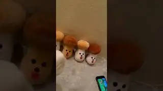 Танец грибочков