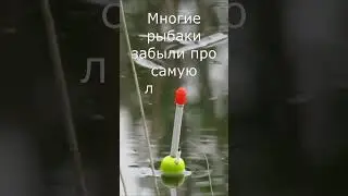 Самая лучшая прикормка на карася