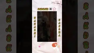 Kakashi x Sakura ♥ || 