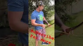 long bow flu flu fetched arrow vs normal arrow what do U like best #archery #longbow #bow #hunting