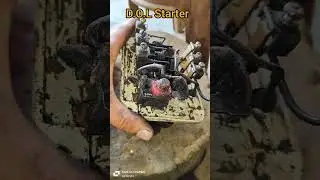 d.o.l starter