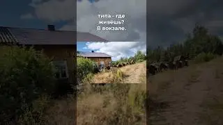 Люди живут на вокзале 🧐