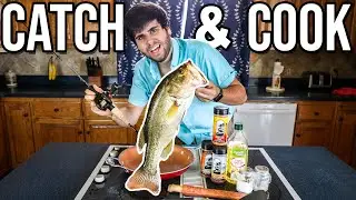 HUGE BASS BACK TO BACK! (Catch & Cook)