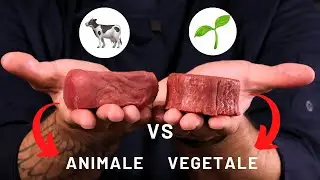 Filetto Vegetale  VS Filetto di Manzo (ESPERIMENTO)