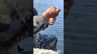 Рыбалка на Озере 