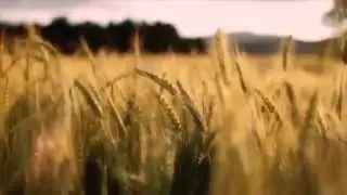 Мені болить моя країна /My country hurts my heart