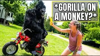 Girl Falls for Guy in a Gorilla Suit at a Bike Rally — HOW DID HE DO IT!