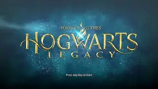 Hogwarts Legacy Performances