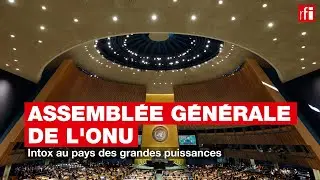 Assemblée générale de l'ONU : intox au pays des grandes puissances