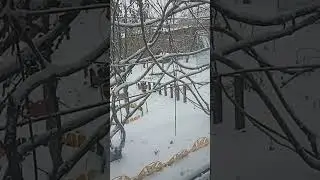 Астраханская зима.