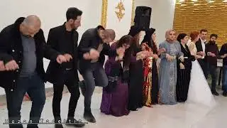 Hozan Tacettin - Abdullah Herki