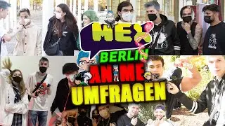 So viele Tiktoker getroffen ! Auf der Mex Berlin Anime Fans interviewt