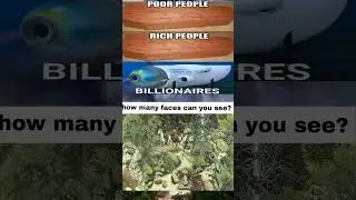 meme of the day