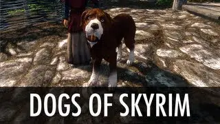 Skyrim Mod Spotlight: Dogs of Skyrim