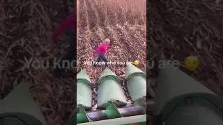 Corn bin