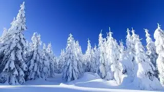 Группа 