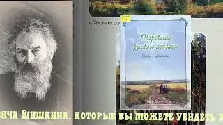 Царь леса Иван Шишикин