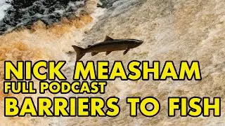 Barriers to Fish Migration: The Forgotten Problem? ft Nick Measham #136