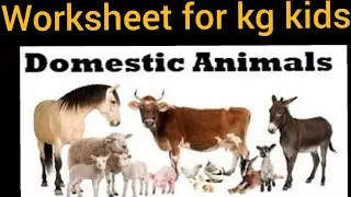 DOMESTIC ANIMALS EASY WORKSHEET FOR KG KIDS