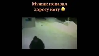 мужик показал коту дорогу 😁