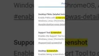 How to enable Screenshot option in  Chrome Browser in windows?
