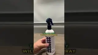 So CLEAN! Noodle and Boo Hair Polish