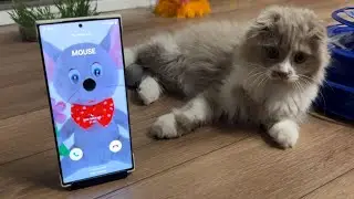 Samsung Galaxy S23 Ultra Cat & Mouse Incoming Call