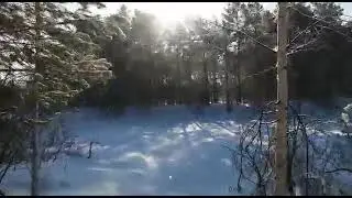 прогулка с Зиной