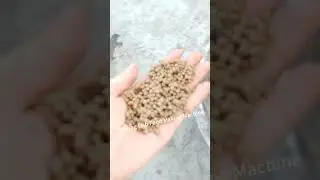 Fish Food Pet Floating Feed Food Extruder Making Machine #machine