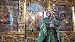 Вход Господень в Иерусалим - Божественная Литургия