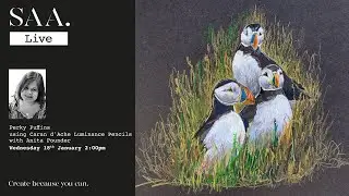 SAA LIVE with Artist Anita Pounder - Perky Puffins using Coloured Pencils