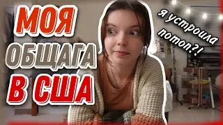 Dorm in the USA. Room tour of my room. Mash Mash vlog
