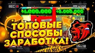 ТОПОВЫЕ СПОСОБЫ ЗАРАБОТКА НА BLACK RUSSIA // CRMP MOBILE