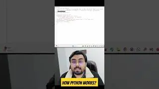 how python works? 
