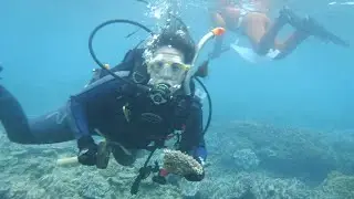 Submarine Symbiosen