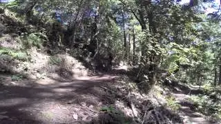 2014-08-31 Purisima redwoods loop