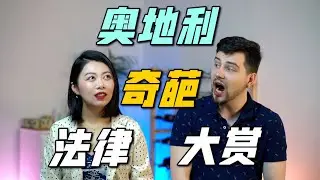 活久见！奥地利奇葩法律大赏｜12 strange laws in Austria | MintyMinnie