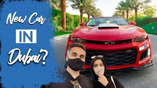 How to Rent a Car in Dubai? | Sheikh Zayed Mosque Abu Dhabi | Chevrolet Camaro Review