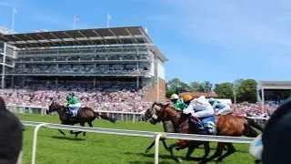 YORK RACES