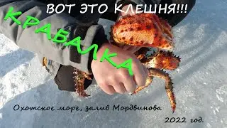 Краб ГИГАНТ!!! Ловля краба в Охотском море. Сахалин 2022 год. Съёмка дроном.