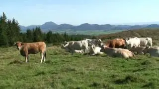 Traversée Sancy - Chaîne des Puys (rando)