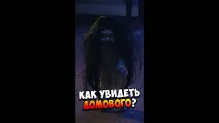 How to see the Domovoy?