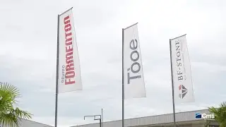 BF STONE and CMS: a synergy for maximum efficiency