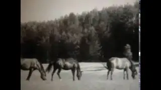 Вода в природе