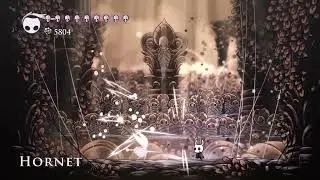 Beating Hornet until Hollow Knight: Silksong comes out.Day 821.