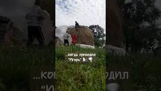 "Игорь" в гости приходил, не звали и не ждали.А на самом деле отделались лёгким испугом.#циклонИгорь